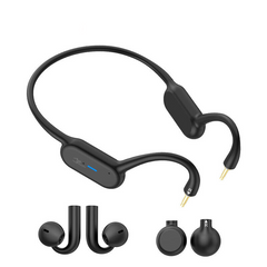 Дворежимні спортивні навушники bluetooth Dacom Gemini G100 2-in-1 Black